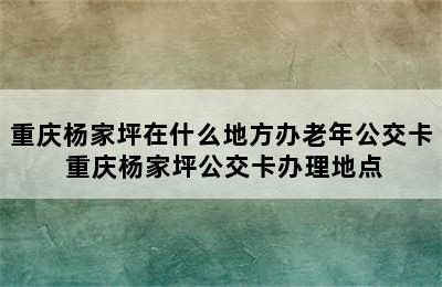 重庆杨家坪在什么地方办老年公交卡 重庆杨家坪公交卡办理地点